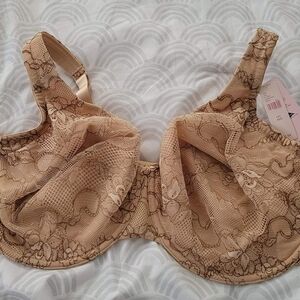 Lane bryant lace full coverage